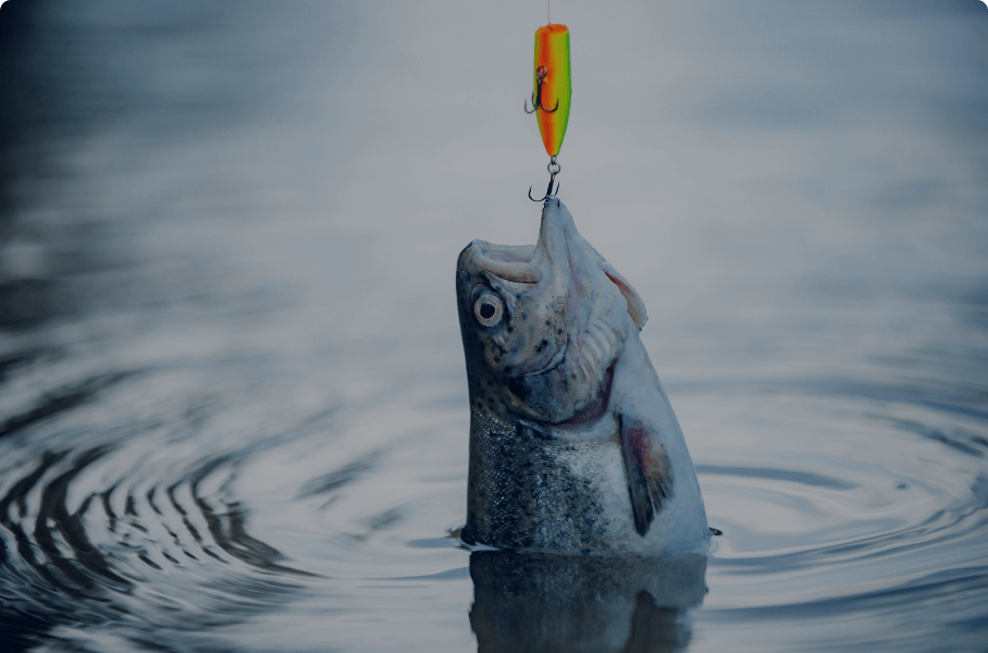 Your Compress Lead Resource for Mastering Fish Catching Skills
